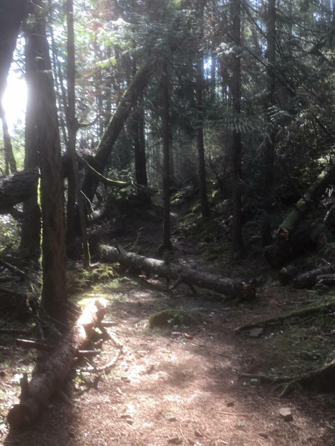 Oceanspray Hideaway Apartment North Saanich Bagian luar foto